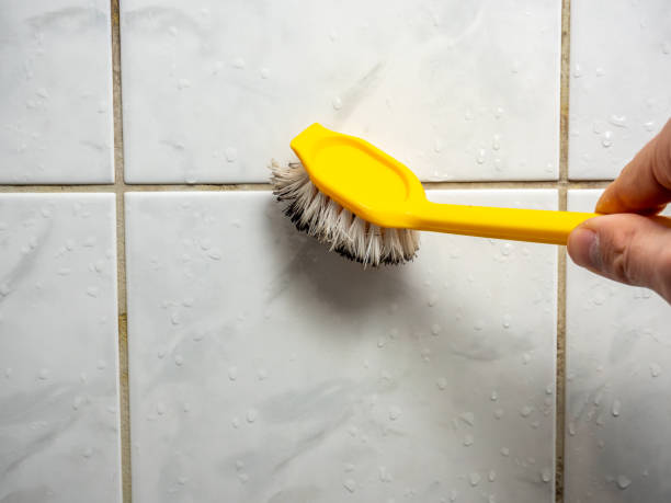 Best Residential Mold Remediation in Hartwell, GA