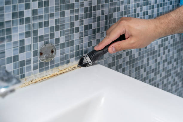 Best Kitchen Mold Remediation in Hartwell, GA